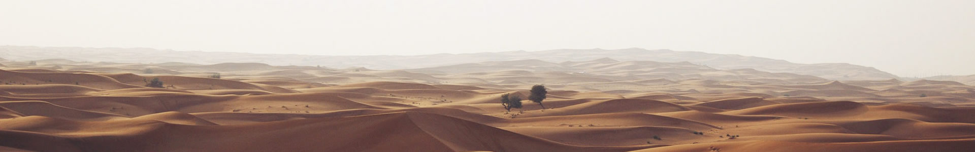 Ħ֯޹˾
